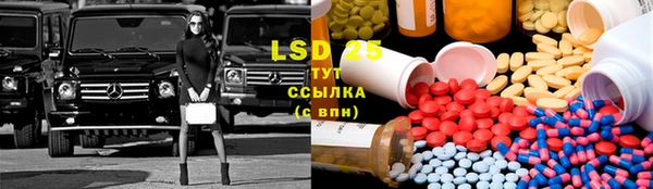 прущие грибы Осташков