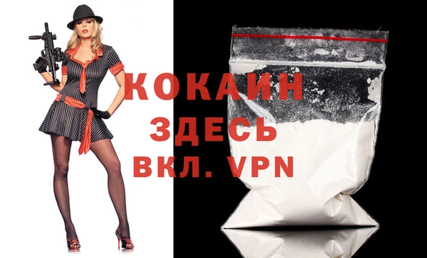 прущие грибы Осташков