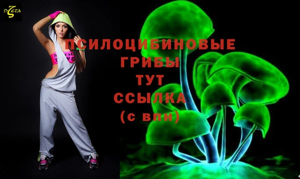прущие грибы Осташков