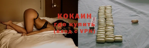 прущие грибы Осташков