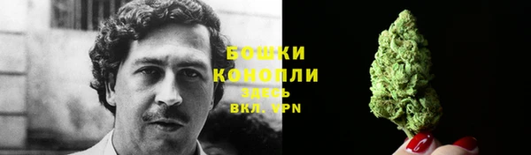 прущие грибы Осташков