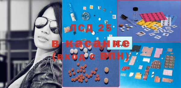 прущие грибы Осташков