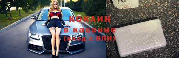 прущие грибы Осташков