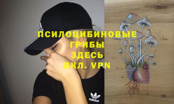 прущие грибы Осташков
