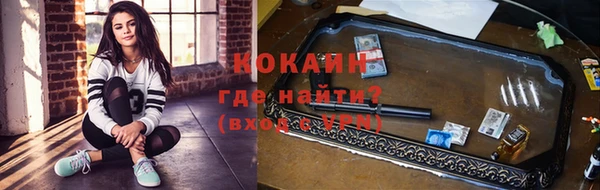 прущие грибы Осташков