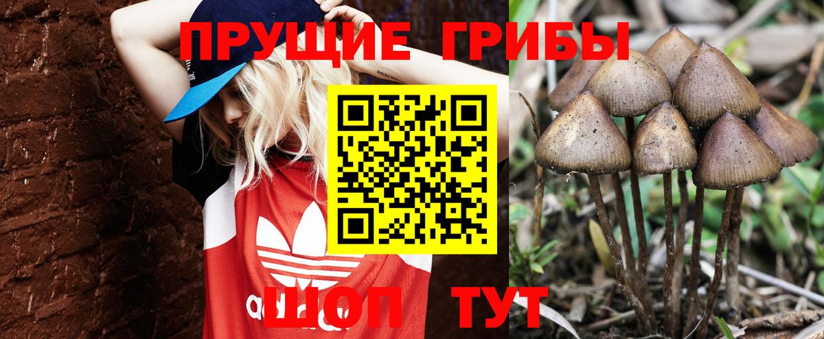 Псилоцибиновые грибы Psilocybine cubensis  дарнет шоп  Вход с VPN  Стрежевой  Псилоцибиновые грибы мухоморы 